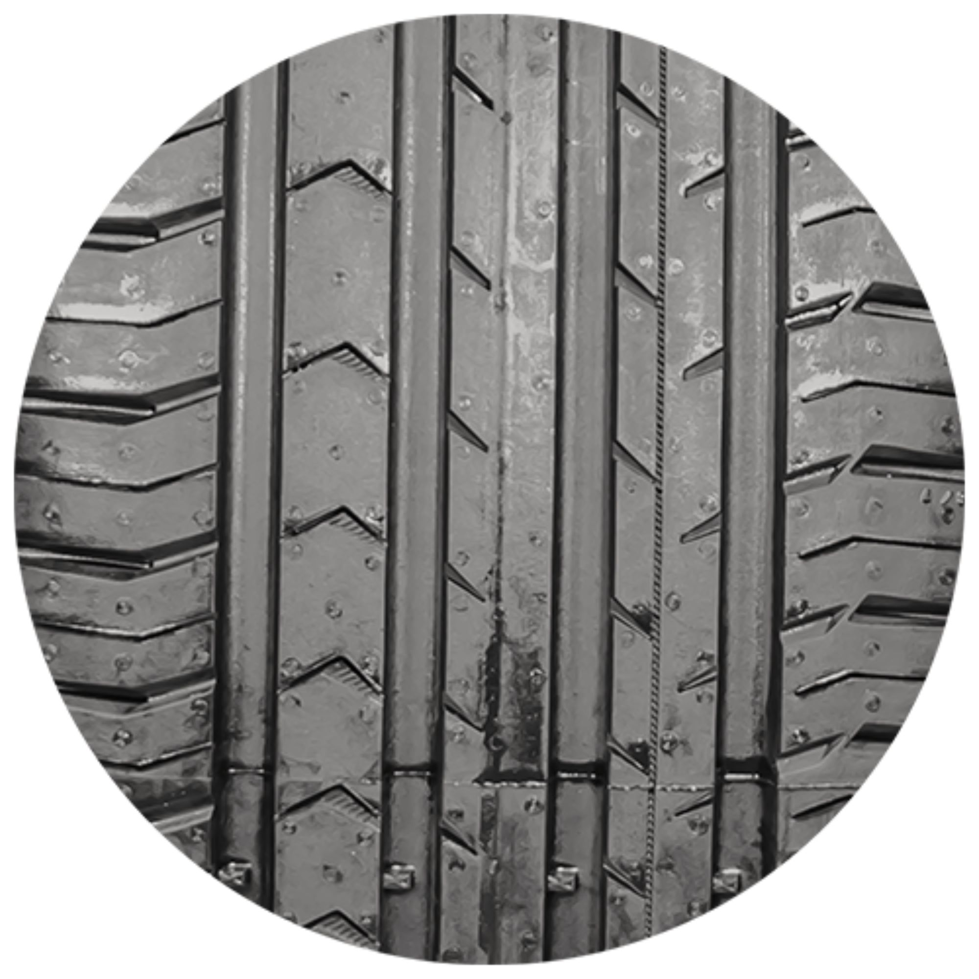 CONTINENTAL CONTIPREMIUMCONTACT 5 205/55R16 91V BSW