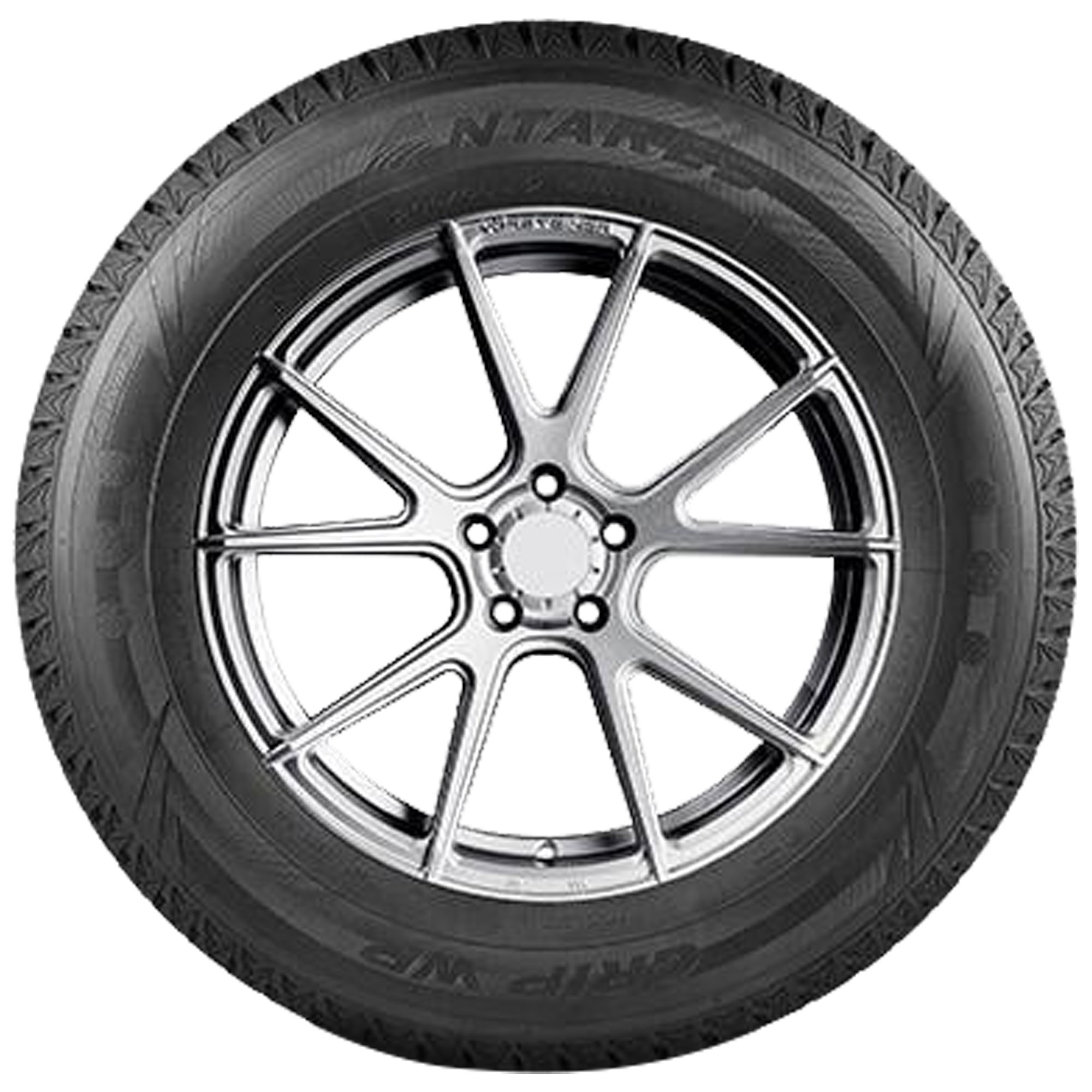 ANTARES GRIP WINTER PLUS 255/40R19 100H XL BSW