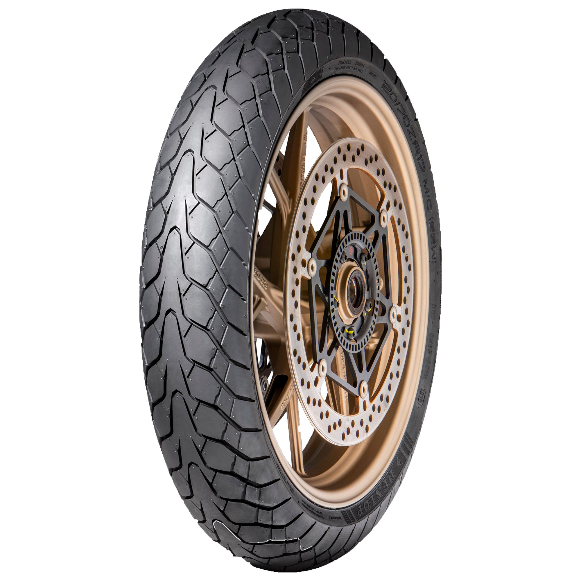 DUNLOP 160/60 ZR 17 M/C TL  (69W) MUTANT M+S