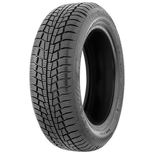 GISLAVED EURO*FROST 6 205/55R16 91H